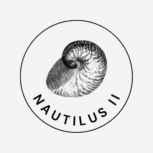 Nautilus 2 Coquillage De Collection Nautilus 2 coquillage de collection